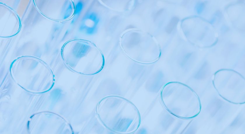 The FASEB Journal High Impact Research in Biology and Biomedicine